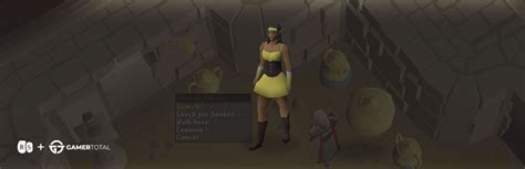 Image result for Thieving Money Making Guide OSRS