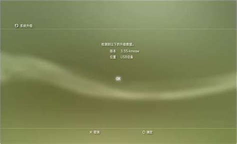 Image result for PS3 System Software