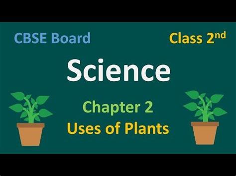 Image result for Class 2 Science Plant