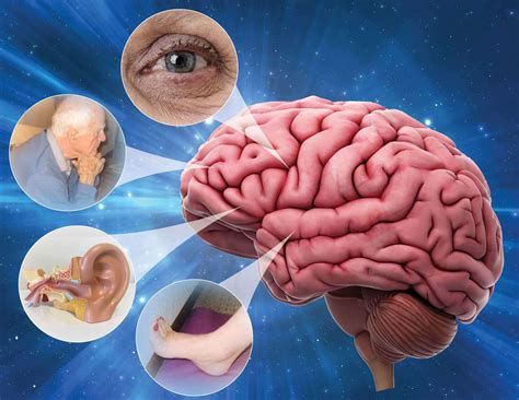 What Causes Dizziness? - Vertigo Detective