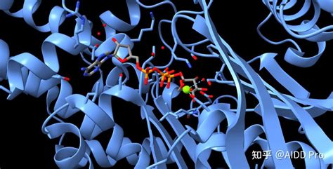 Chimerax SYM Function 的图像结果