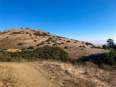 Windy Hill Open Space Preserve – Roadside Secrets