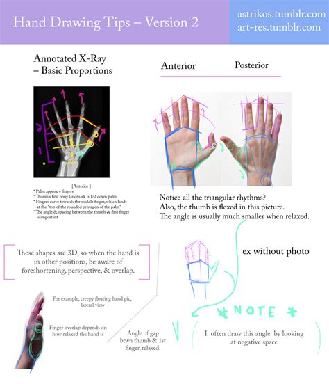 Image result for Hand Anatomy Tutorial