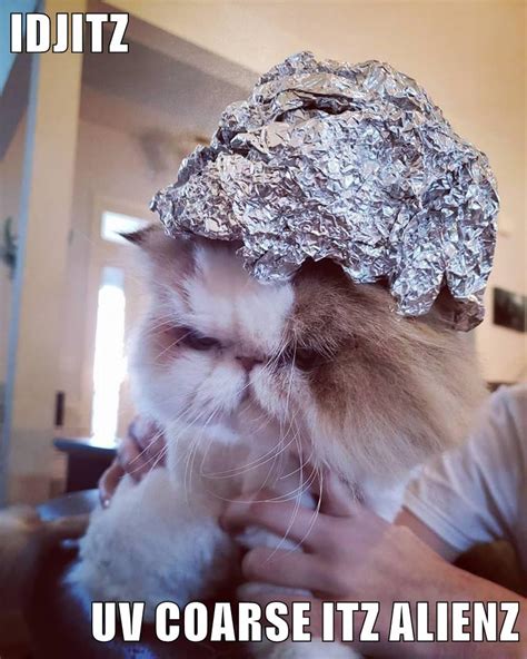 Alien Life Meme 的图像结果