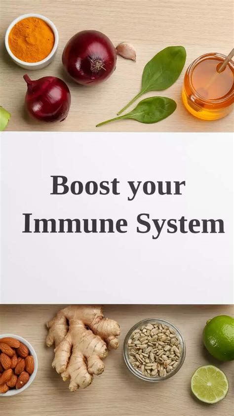 Closing The Ring: Pink Line’s Extension Nears Completion | Delhi News ...