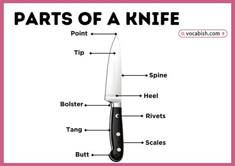 Parts of Knife: Their Functions and Diagram | Vocabish