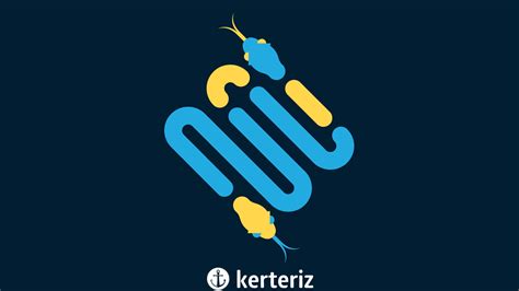 Image result for Python Dersleri