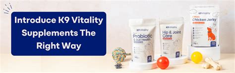 How to Safely Introduce K9 Vitality Supplements to Your Dog’s Diet