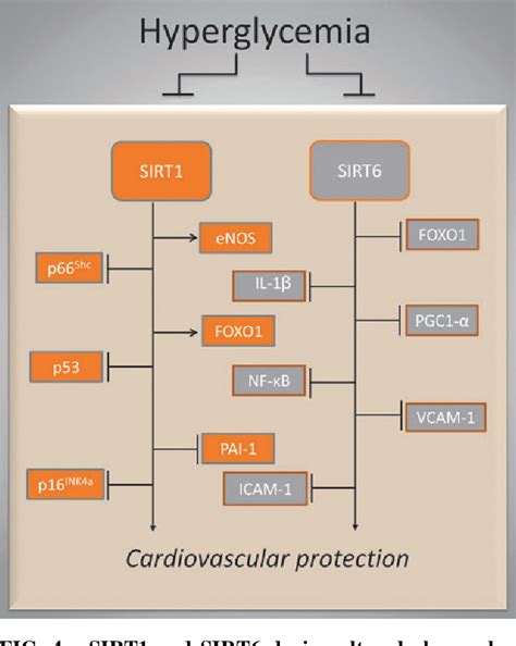 Image result for Coding SIRT