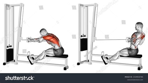 Image result for Machine Row Exercise