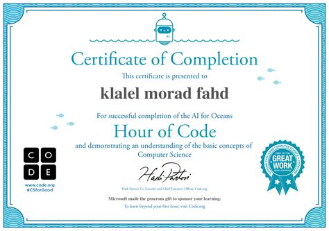 Code.org Certificate 的图像结果