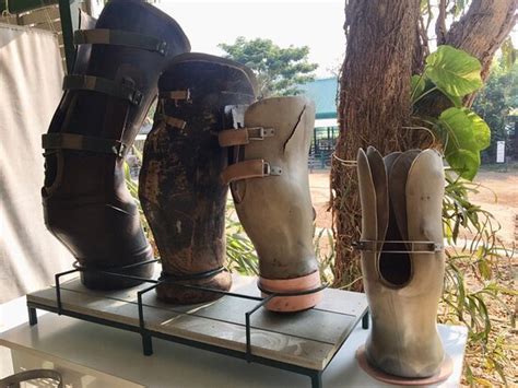 Friends of the Asian Elephant (Lampang) - All You Need to Know BEFORE ...