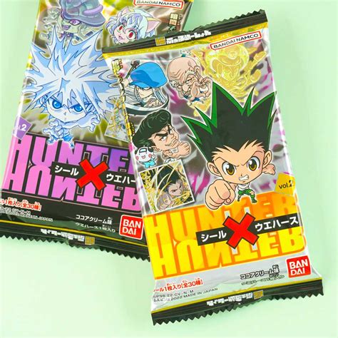 Shop Hunter x Hunter Merch | Get Free Shipping – Blippo
