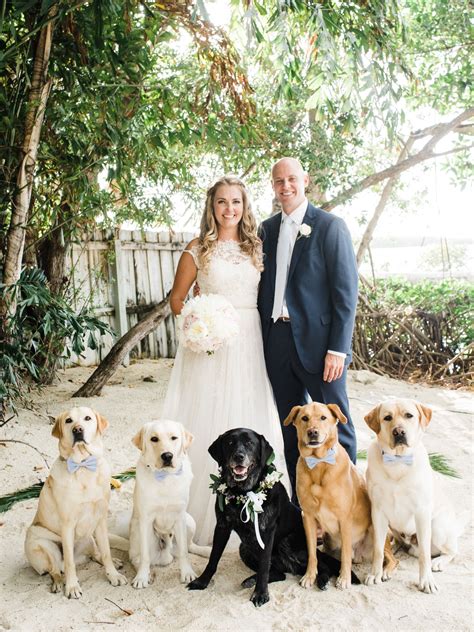 4 Cute Ways to Incorporate Your Dog into Your Wedding - Reverent Wedding Films™