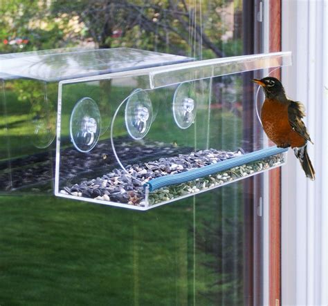 Long Acrylic Window Bird Feeder w/ Perch Birdfeeder