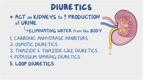 Loop Diuretics How They Work 的图像结果