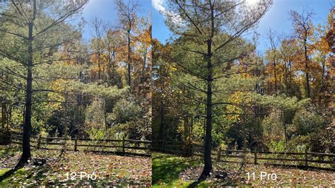 Image result for iPhone 12 vs 12 Pro Camera