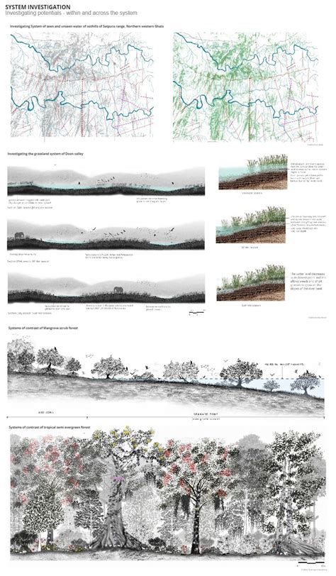 Group A | Landscape Foundation Studio : Decoding The Forest | CEPT ...