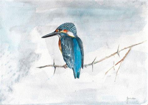 Kingfisher Paintings & Artworks | Kingfisher Wall Art for Sale ...