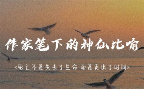 相亲的正确流程是什么？ - 知乎