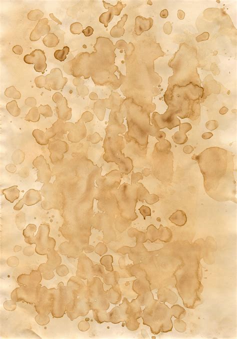 Image result for Tea Staining Paper