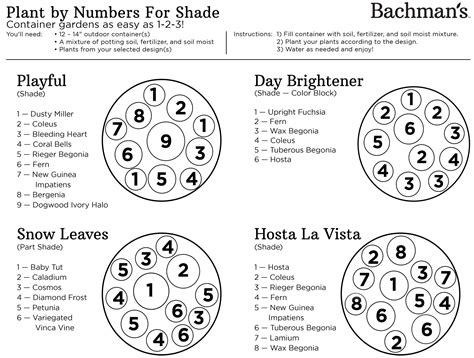 Plant By Numbers Container Gardens, Bachman's Minnesota