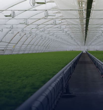 DigiFarm Coverage Map 的图像结果