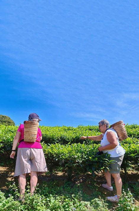 Vietnam Local People 的图像结果