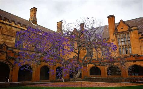 悉尼大学 USYD – Master of Digital Communication and Culture（数字传播与文化硕士）详解 ...