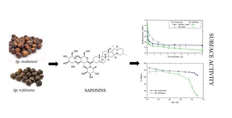 Surface Activity of Natural Surfactants Extracted from Sapindus ...