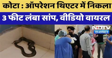 Kota News : Operation Theater में निकला 3 Feet लंबा सांप, Video Viral ...