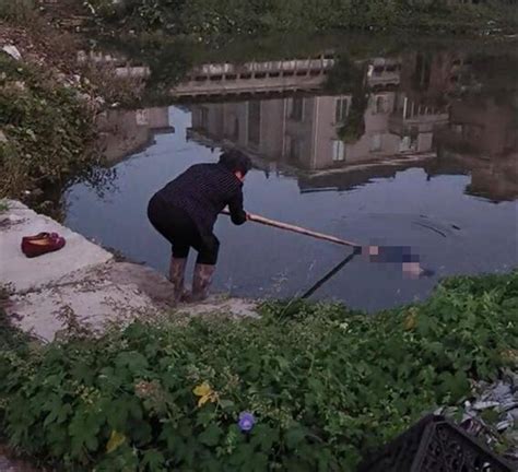 浙江台州一女子清晨漂在水塘里，派出所：村民将人救起，女子无生命危险_桃渚镇_视频_落水