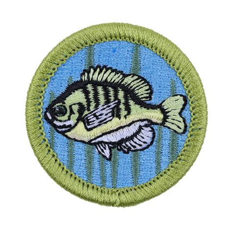 Eagle Required Cooking Merit Badge Scout Earns 21 Merit Badges To