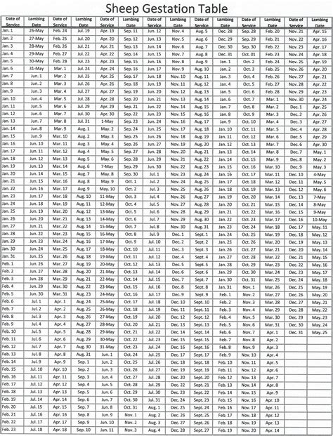 Lambing Chart - American Romney Breeders Association
