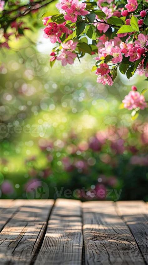 Image result for Spring Over Summer
