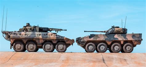 Boxer CRV and Patria AMV-35 in assessment for Australia