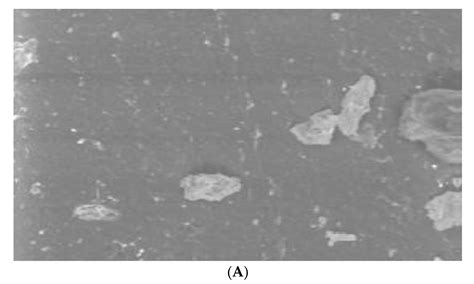 Antibacterial Efficacy and Surface Characteristics of Boron Nitride ...