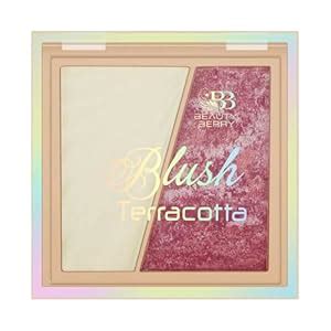 Buy VB Beauty Berry Terracotta Blush & Highlighter Duo | Dual ...