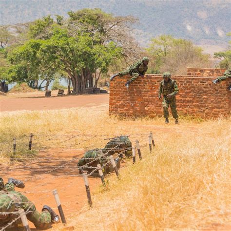 RDF Training Exercise 的图像结果