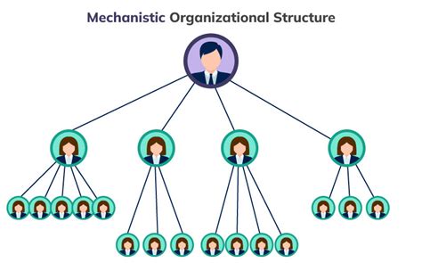 Rezultat imagine pentru Organizational structure Types