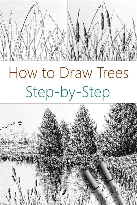 Image result for Scetching Lesson How to Draw a Tree