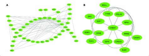 Image result for Mcode Tutorial Cytoscape