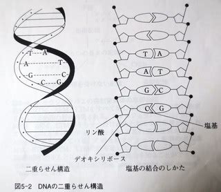 Image result for Loops Definition Computer Science