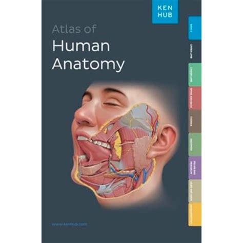 Buy Kenhub Atlas of Human Anatomy Book Online at Low Prices in India ...