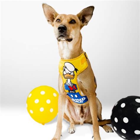 That Dog In Tuxedo Donald Duck Dog Mesh Harness