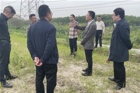 民建上海市委领导赴青浦调研高标准农田建设_地方党派团体