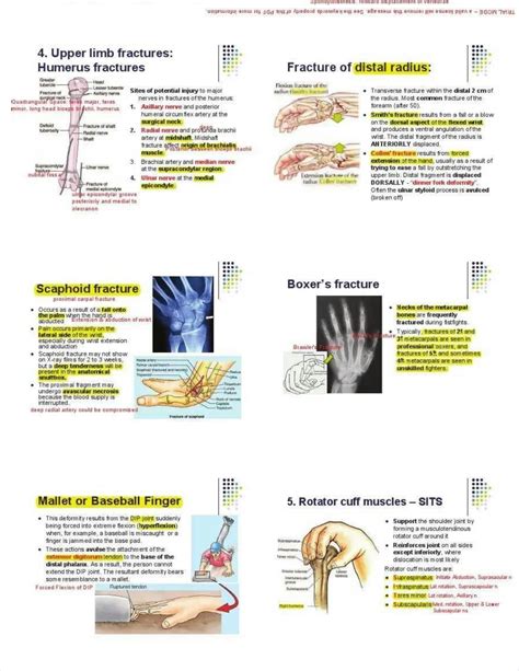 100 Concepts Anatomy Pdf - Great Research