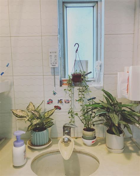 (@jialulu) • Instagram photos and videos