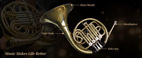 Amazon.com: French Horn Beginner Bb 4-Key Gold Lacquer Brass Horn | Full, resonant, bright brass ...
