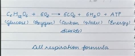 state the equation of aerobic respiration - Brainly.in